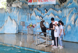 海獅互動