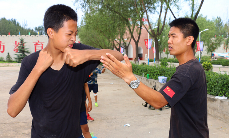 10fe23ee1b072a4d672a22ee5bbed873.jpg
