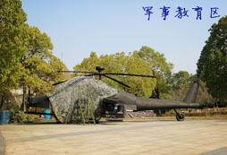 參加2018雄鷹童子軍夏令營(yíng)的收獲有哪些？