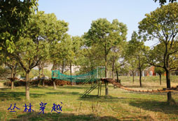 雄鷹童子軍訓(xùn)練營帶給孩子們的好處