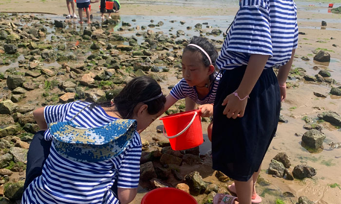 尋找海洋生物
