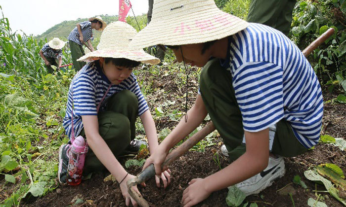 研學(xué)夏令營有哪些