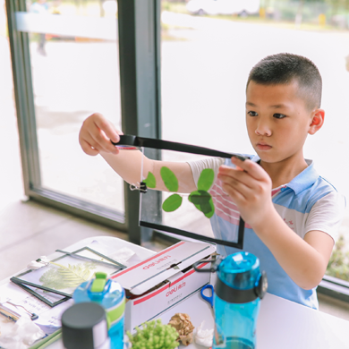 暑期英語夏令營幫您激發(fā)孩子學習英語的興趣