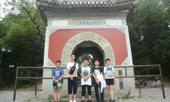 小組照