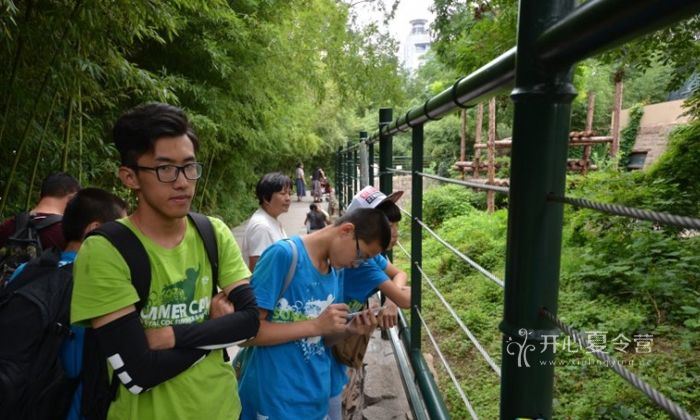 青少年英語夏令營