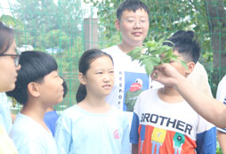 14天青少年藝術(shù)夏令營怎么樣，好口碑機構(gòu)一覽
