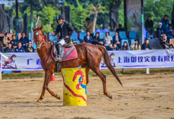 胤龍馬術(shù)夏令營的課程內(nèi)容都有哪些？