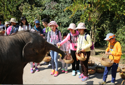 青少年游學(xué)夏令營讓孩子在快樂中成長