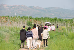 參加游學夏令營感受森林自然教育的魅力