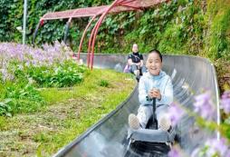 如何選擇游學夏令營才能讓孩子收獲滿滿的成長體驗呢？