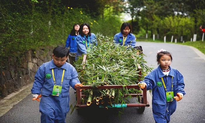 游學夏令營怎么樣