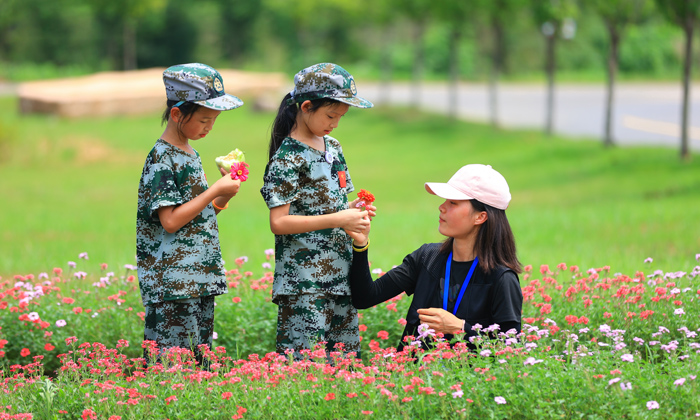 小學(xué)生游學(xué)夏令營(yíng)排名大全
