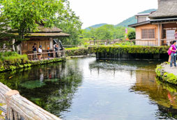 初高中生參加普通夏令營和游學(xué)營有什么區(qū)別？