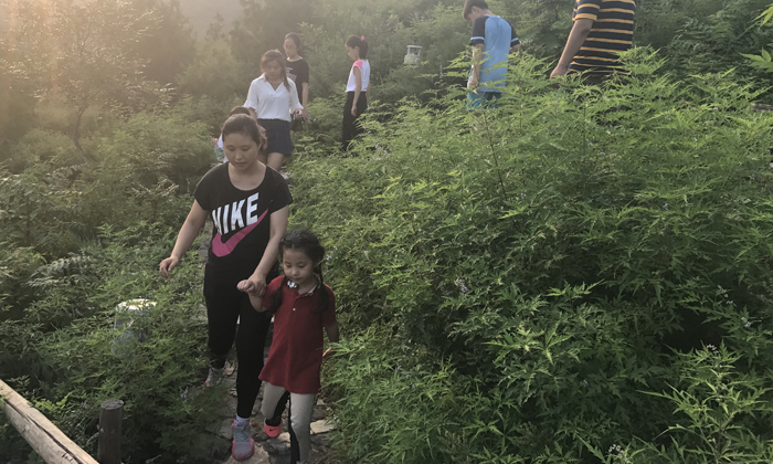 親子游學夏令營