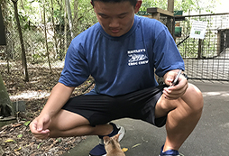 不想嚇跑小動物所以不敢動