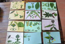 學(xué)員作品展示