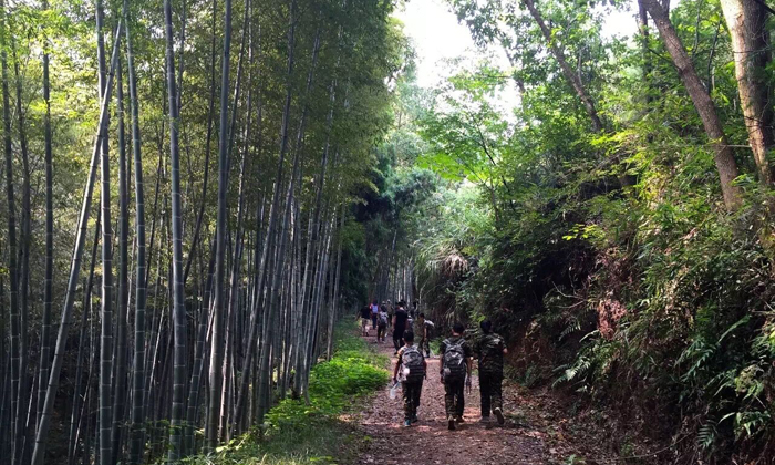 浙江自然探索夏令營(yíng)的特色與收獲.jpg