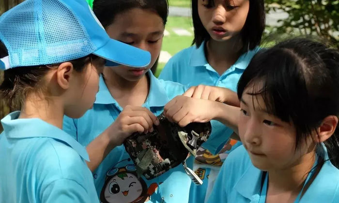 浙江小學生夏令營哪個好