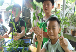 鄭州夏令營哪家更加值得推薦