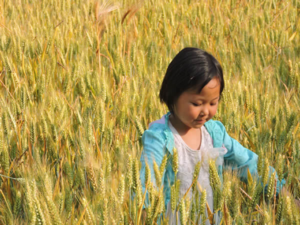 暑期參加鄭州國學(xué)夏令營需要準(zhǔn)備些什么.jpg