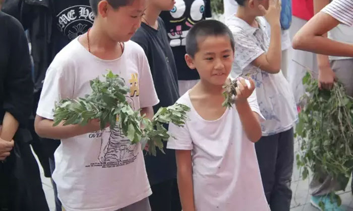 鄭州好的夏令營有哪些