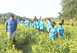 參加鄭州游學夏令營好處有哪些？