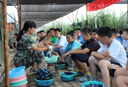 周邊軍事營中的拓展活動有哪些？