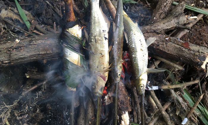 烤魚(yú)