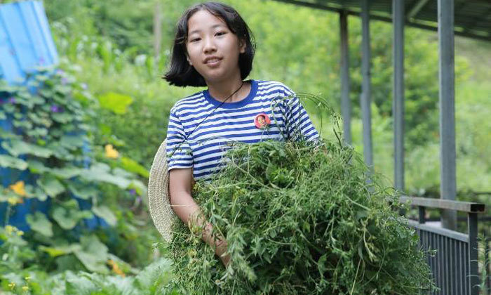 遵義研學夏令營怎么樣