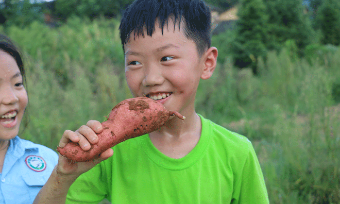 遵義研學(xué)夏令營價(jià)格