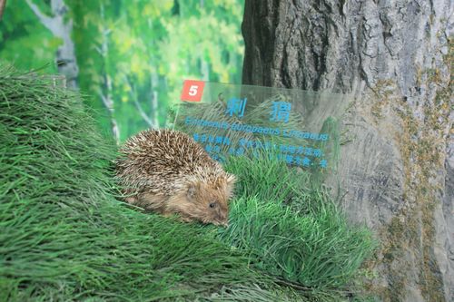 英孚世博夏令營鈥斪囈勻徊┪錒 英孚世博夏令營鈥斪囈勻徊┪錒