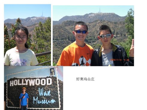 2009Ӣڽɼ(gu)H()