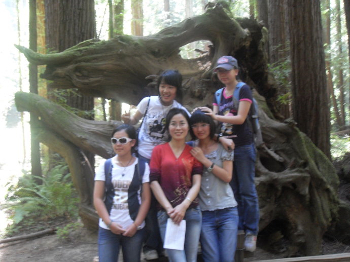 2009ӢڽfɽF(tun)()