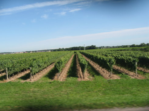 2009Ӣڼô֮