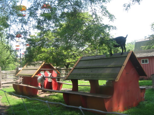 2009Ӣڼô֮