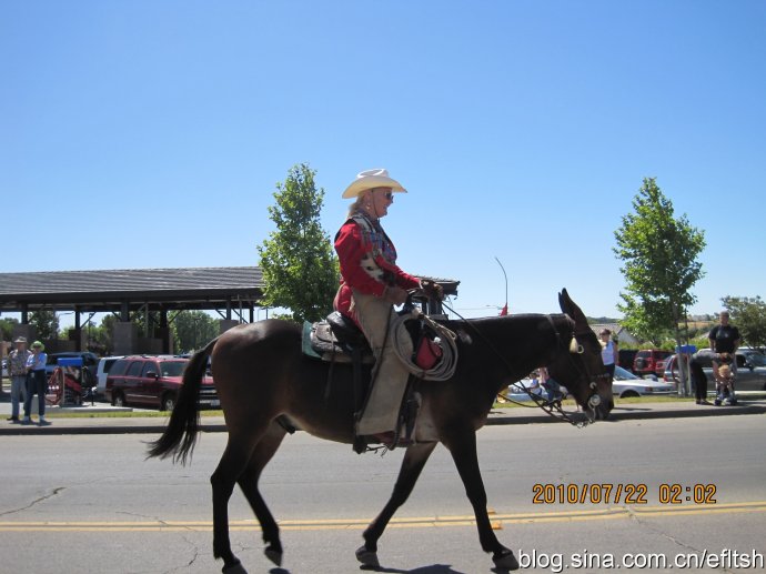 2010eff118sɼF