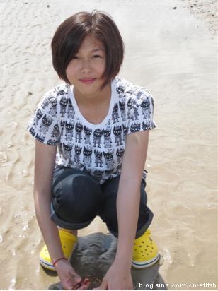 2010efٺΌW(xu)f2013sé˹F