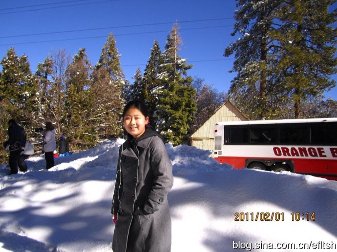 2011efӢںΌW(xu)ɼs111()