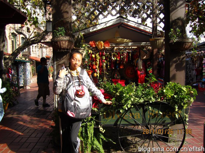 2011efӢںΌW(xu)(gu)ɼs111()