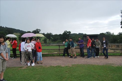 ؚwȻ--longleat <wbr>safari <wbr>park(Ұ(dng)@-1