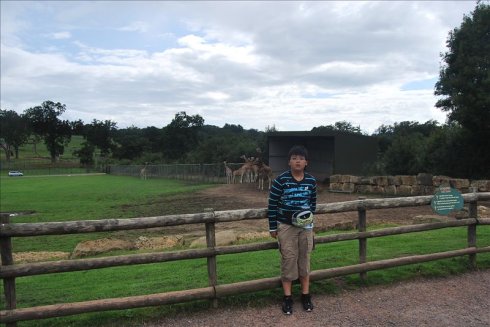 ؚwȻ--longleat <wbr>safari <wbr>park(Ұ(dng)@-1