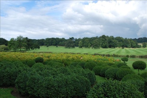 ؚwȻ--longleat <wbr>safari <wbr>park(Ұ@-4
