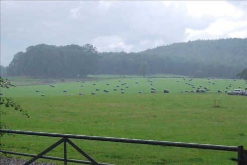ؚwȻ--longleat <wbr>safari <wbr>park(Ұ@-4
