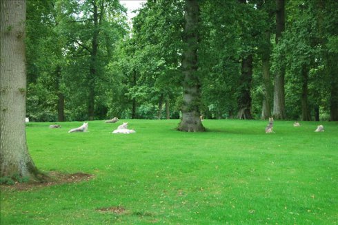 ؚwȻ--longleat <wbr>safari <wbr>park(Ұ@-3